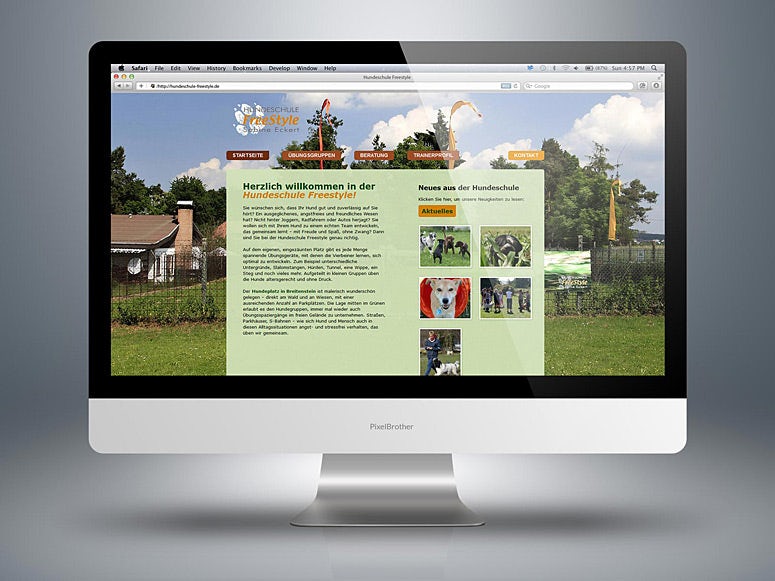 webdesign hondenschool
